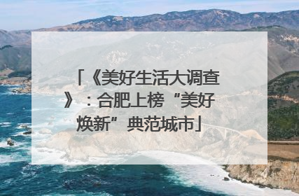 《美好生活大调查》：合肥上榜“美好焕新”典范城市