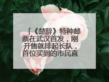 《楚辞》特种邮票在武汉首发，刚开售就排起长队，首位买到的市民直呼激动