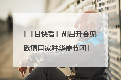 「甘快看」胡昌升会见欧盟国家驻华使节团