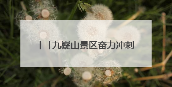 「九嶷山景区奋力冲刺AAAAA」胡勇刚深入九嶷山景区现场调研5A级旅游景区创建工作