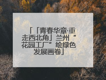 「青春华章·重走西北角」兰州“花园工厂”绘绿色发展画卷