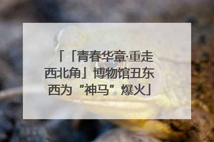 「青春华章·重走西北角」博物馆丑东西为“神马”爆火