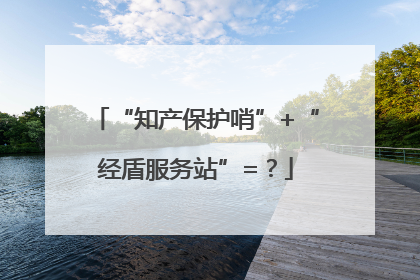 “知产保护哨”+“经盾服务站”=？