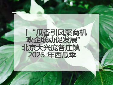 “瓜香引凤聚商机 政企联动促发展”北京大兴庞各庄镇 2025 年西瓜季政企联动产业推介活动圆满举行