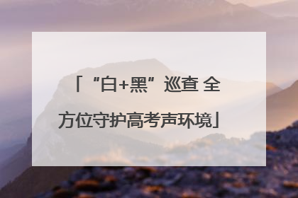 “白+黑”巡查 全方位守护高考声环境