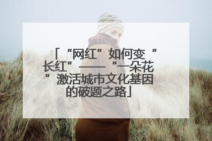 “网红”如何变“长红”——“一朵花”激活城市文化基因的破题之路