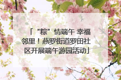 “粽”情端午 幸福邻里！燕罗街道罗田社区开展端午游园活动