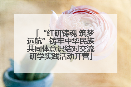 “红研铸魂 筑梦远航”铸牢中华民族共同体意识结对交流研学实践活动开营