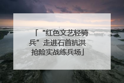“红色文艺轻骑兵”走进石首抗洪抢险实战练兵场