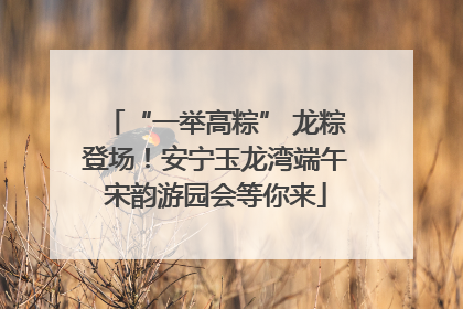 “一举高粽” 龙粽登场！安宁玉龙湾端午宋韵游园会等你来