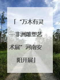 “万木有灵—非洲雕塑艺术展”河南安阳开展