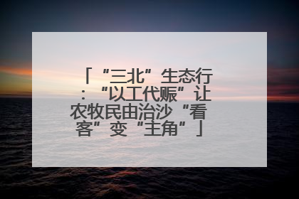 “三北”生态行：“以工代赈”让农牧民由治沙“看客”变“主角”