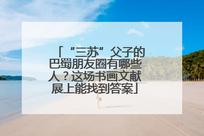 “三苏”父子的巴蜀朋友圈有哪些人？这场书画文献展上能找到答案