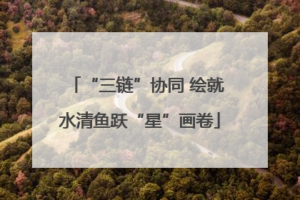 “三链”协同 绘就水清鱼跃“星”画卷