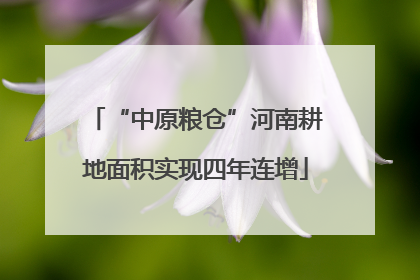 “中原粮仓”河南耕地面积实现四年连增