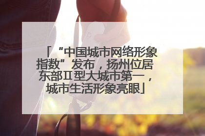 “中国城市网络形象指数”发布，扬州位居东部Ⅱ型大城市第一，城市生活形象亮眼