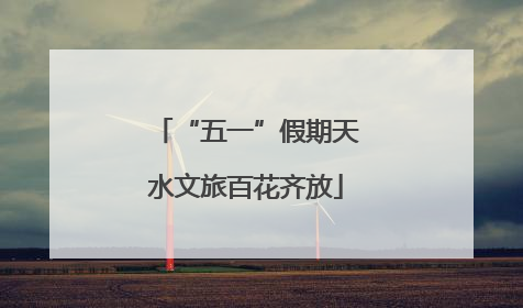 “五一”假期天水文旅百花齐放