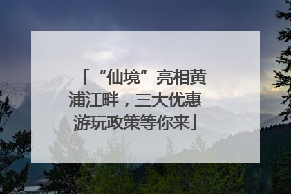 “仙境”亮相黄浦江畔，三大优惠游玩政策等你来