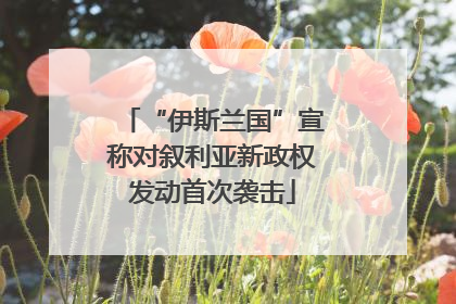 “伊斯兰国”宣称对叙利亚新政权发动首次袭击