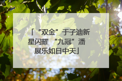 “双金”于子迪新星闪耀 “九冠”潘展乐如日中天