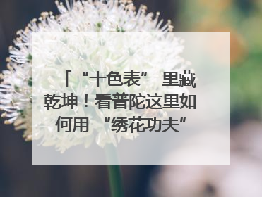 “十色表” 里藏乾坤！看普陀这里如何用 “绣花功夫” 织就社区治理
