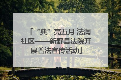 “典”亮五月 法润社区——新野县法院开展普法宣传活动