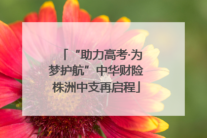 “助力高考·为梦护航”中华财险株洲中支再启程