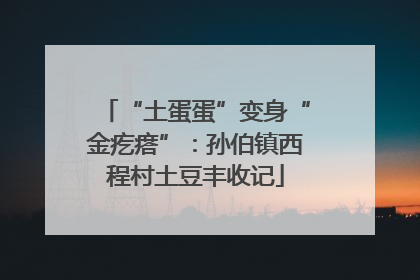 “土蛋蛋”变身“金疙瘩”：孙伯镇西程村土豆丰收记