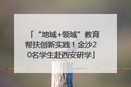 “地域+领域”教育帮扶创新实践！金沙20名学生赴西安研学