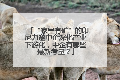 “家里有矿”的印尼力邀中企深化产业下游化，中企有哪些最新考量？