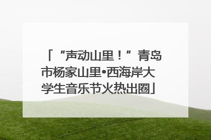 “声动山里！”青岛市杨家山里•西海岸大学生音乐节火热出圈