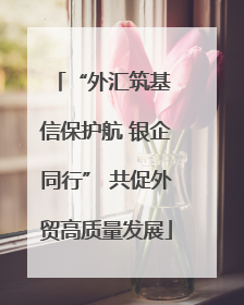 “外汇筑基 信保护航 银企同行” 共促外贸高质量发展
