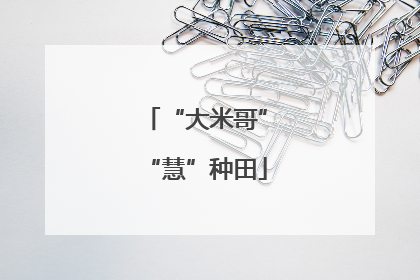 “大米哥”“慧”种田