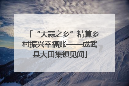 “大蒜之乡”精算乡村振兴幸福账——成武县大田集镇见闻