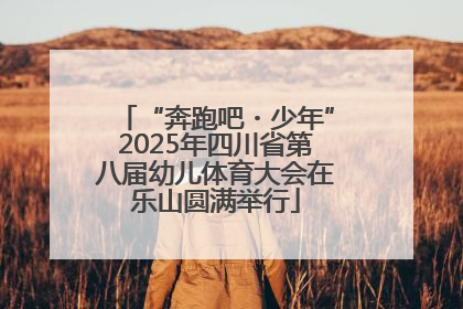 “奔跑吧・少年”2025年四川省第八届幼儿体育大会在乐山圆满举行