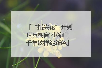 “指尖花”开到世界橱窗 小凉山千年纹样绽新色