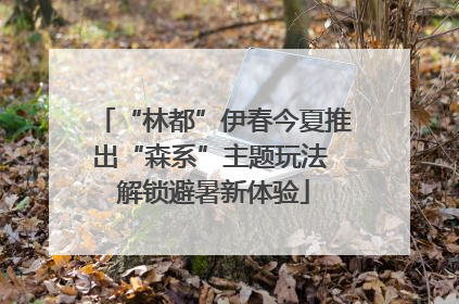 “林都”伊春今夏推出“森系”主题玩法 解锁避暑新体验