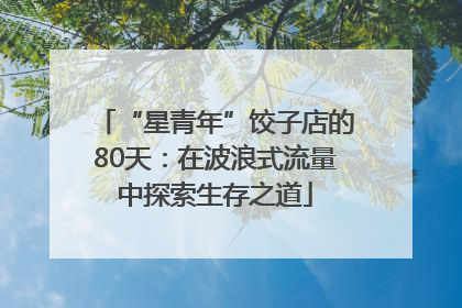 “星青年”饺子店的80天：在波浪式流量中探索生存之道