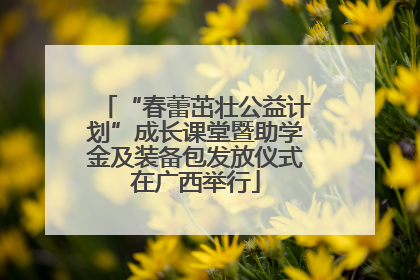 “春蕾茁壮公益计划”成长课堂暨助学金及装备包发放仪式在广西举行