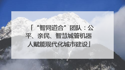 “智同道合”团队：公平、亲民、智慧城管机器人赋能现代化城市建设