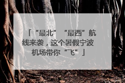 “最北”“最西”航线来袭，这个暑假宁波机场带你“飞”