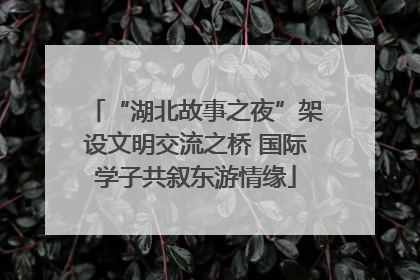“湖北故事之夜”架设文明交流之桥 国际学子共叙东游情缘