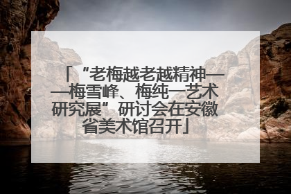 “老梅越老越精神——梅雪峰、梅纯一艺术研究展”研讨会在安徽省美术馆召开