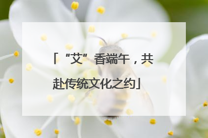 “艾”香端午，共赴传统文化之约