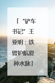 “铲车书记”王亚明：铁臂护航夏种水脉