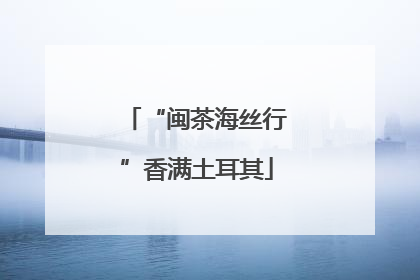 “闽茶海丝行”香满土耳其