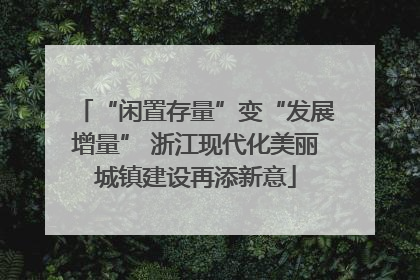 “闲置存量”变“发展增量” 浙江现代化美丽城镇建设再添新意