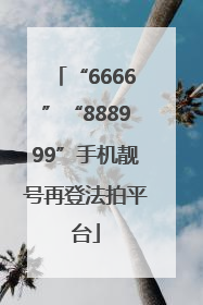 “6666”“888999”手机靓号再登法拍平台