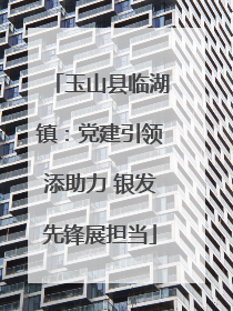 玉山县临湖镇：党建引领添助力 银发先锋展担当