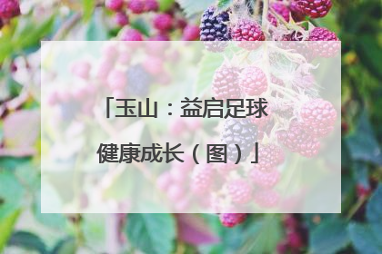 玉山：益启足球 健康成长（图）
